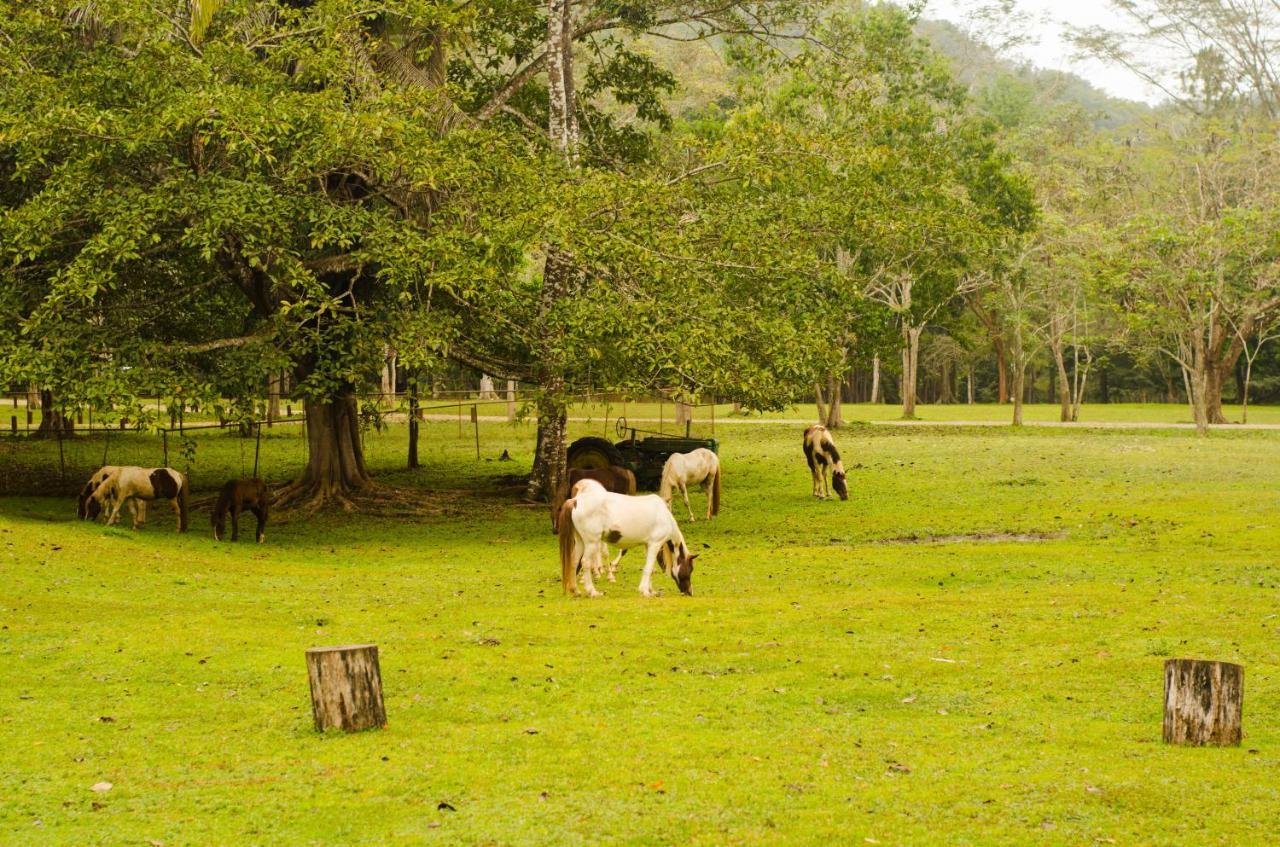 Parque Natural Ixpanpajul 弗洛勒斯 外观 照片